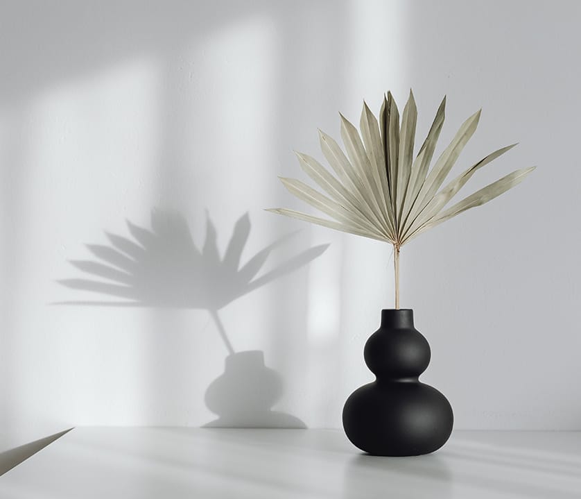 interactive services4